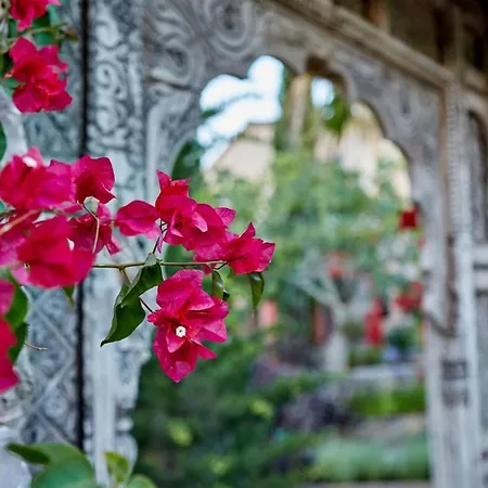 La Salve * פוינסה