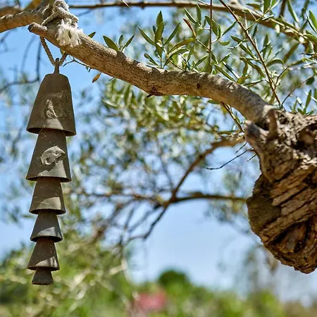 La Salve Apartamento Pollença