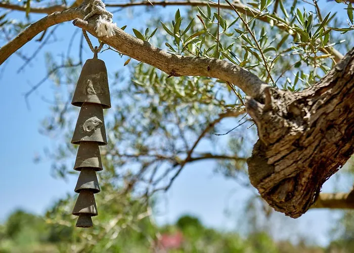 La Salve Lägenhet Pollença